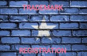 Everything You Need to Know About Trademarks in Somalia